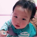엄현 | 스티커 아기가타고있어요 스티커 팝아트 초상화 엄현*님이 주문하신 아이가타고있어요 스티커 제작후기...