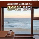 마음을 담다 애견샵 | 강릉 안목해변 오션뷰 감성 숙소 스테이 안목을 담다 내돈내산 후기