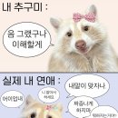성영식당 | 5월 1일로 돌아가는 주파수 소용 없어서 기분 나쁜 수요일기