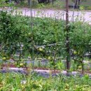 심원농장 이미지