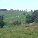 초안목장 이미지