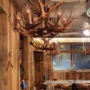 스지고집 | 동래술집 스지고집 동래본점 맑은스지수육 먹고 온 솔직 후기