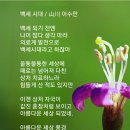 박세 시대 / 이수만(사)서울시소기업소상공인연합회명예회장 이미지