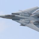 F14 이미지