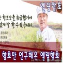 마시는함초로 유명해진 함초진액의 효능은? 이미지