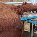 신일축산2 이미지