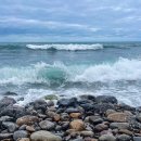 알음알음제주 이미지