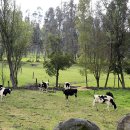 태경목장 이미지