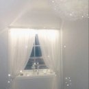 피트컷 숨알파 내돈내산 후기 🫧