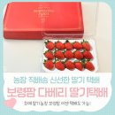 가평비타민팜체험농장 | 보령팜 딸기 택배 시작! 임산부 선물로도 좋은 다베리 딸기 선물세트 출시! 설날 선물세트로도 손색없어요.