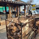 팔팔한우촌 이미지