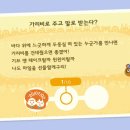 모자가리비 이미지