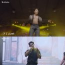 위니투어