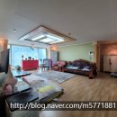 신방한라동백@ 2 이미지