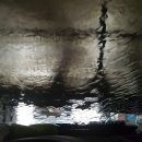 해뜨는 주유소 이미지