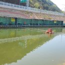 무태낚시터 이미지