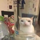 (주)에스앤아이이앤디 | 대깨소 로그