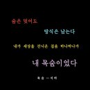 250808. 묵상글 ( 성 도미니코 사제 기념일. - 자기 십자가는 자기가. 등 ) 이미지