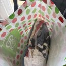 제이파크세탁 이미지