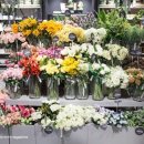 두고두고 하우스 이미지