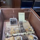 업타운커피 이미지