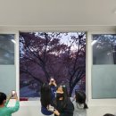 목동매직셈주산교습소