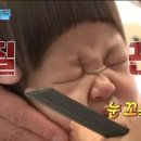 에이스애견미용학원 이미지
