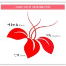 이지은레드클럽 이미지