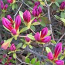 된밭근린공원 이미지