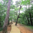 단종역사관 이미지