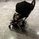 풍창식품 | 오토폴딩 유모차 리안휴대용유모차 추천