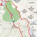 유림-28 이미지