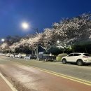 H nine 모터스 이미지