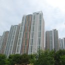 시화호수로4 이미지