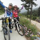 (주)달구벌 이미지