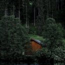 당고개동물병원 이미지