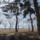 꼰띠고2 이미지