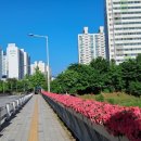현대백조아파트 이미지