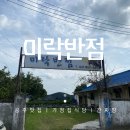 미락반점 - 정선군 의림로 294 | 미락반점