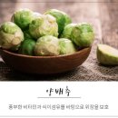 역류성 식도염 예방 음식 7 가지 이미지