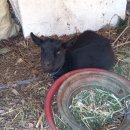 화순이서우체국 이미지