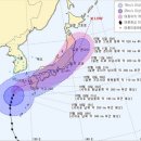 제주도 고비 이미지