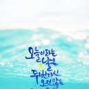 샬롬헤어샵 네이버블로그