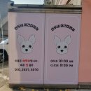 만두네 애견미용실 이미지