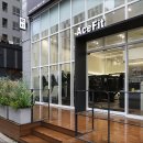 에이스핏 이미지