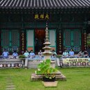 지리산큰나무 이미지