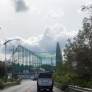 동해중앙새마을금고 단봉골프랜드 이미지