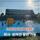 문산2간이배수펌프장 | 운정 야외 수영장 서울근교 취사 반려견 동반 물놀이 파주 뮌스터담 명당자리 이용요금