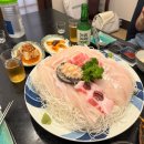 잡어와 묵은지 | [강남회 맛집] 잡어와 묵은지 방문기 회 좋아하는 사람 무조건 저장!