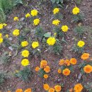 장기연세이비인후과의원 이미지